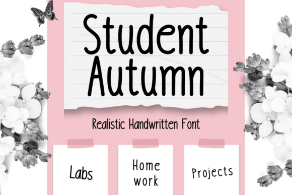 Student Autumn: A Handwritten Font for Engaging Web Design